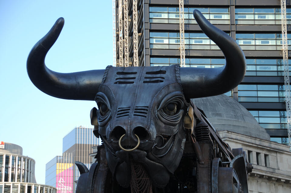 Commonwealth Games Bull