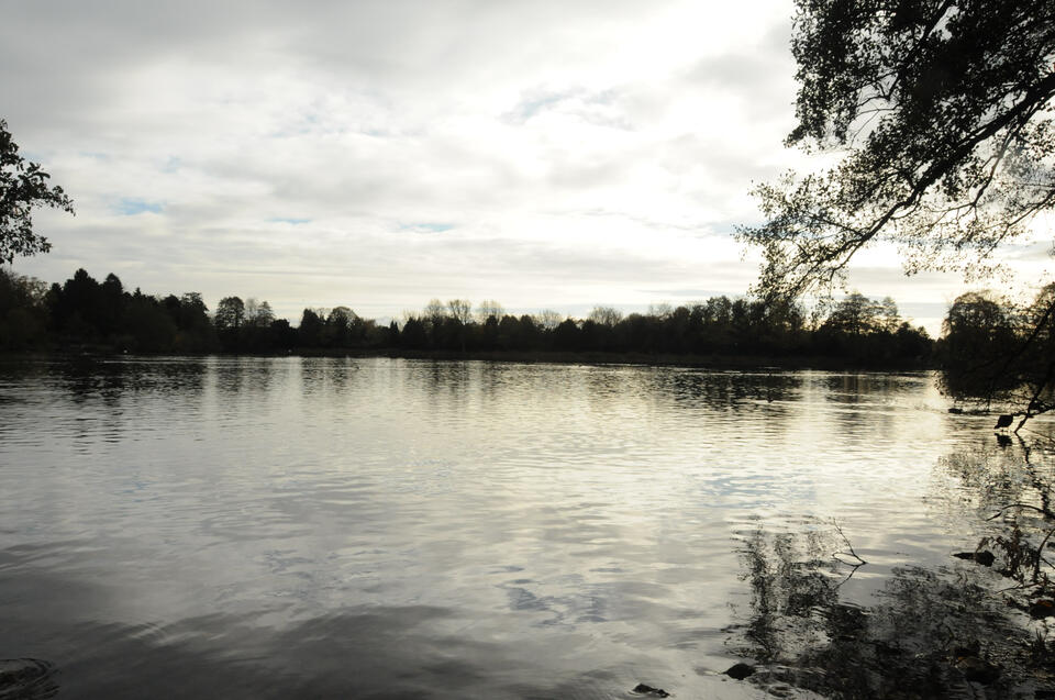 Himley Hall Lake