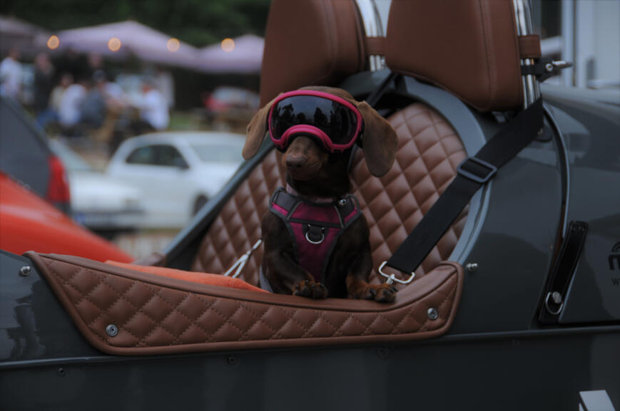 Cool customer